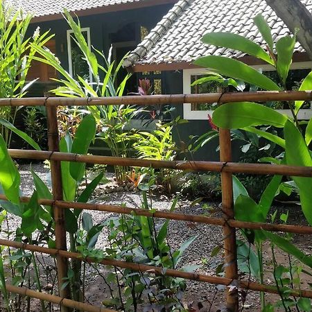 Villa King: Unique Villa With Indoor Swimming Pool 艾湄湾 外观 照片
