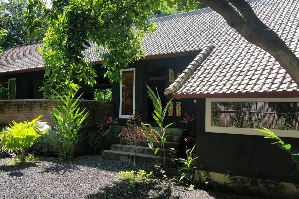 Villa King: Unique Villa With Indoor Swimming Pool 艾湄湾 外观 照片