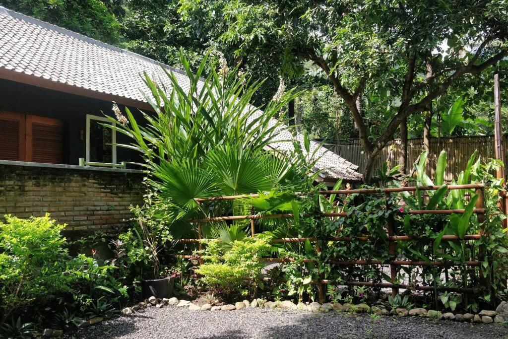 Villa King: Unique Villa With Indoor Swimming Pool 艾湄湾 外观 照片