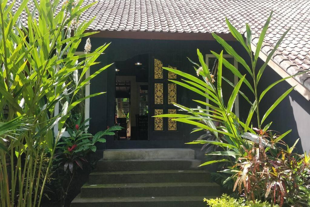 Villa King: Unique Villa With Indoor Swimming Pool 艾湄湾 外观 照片