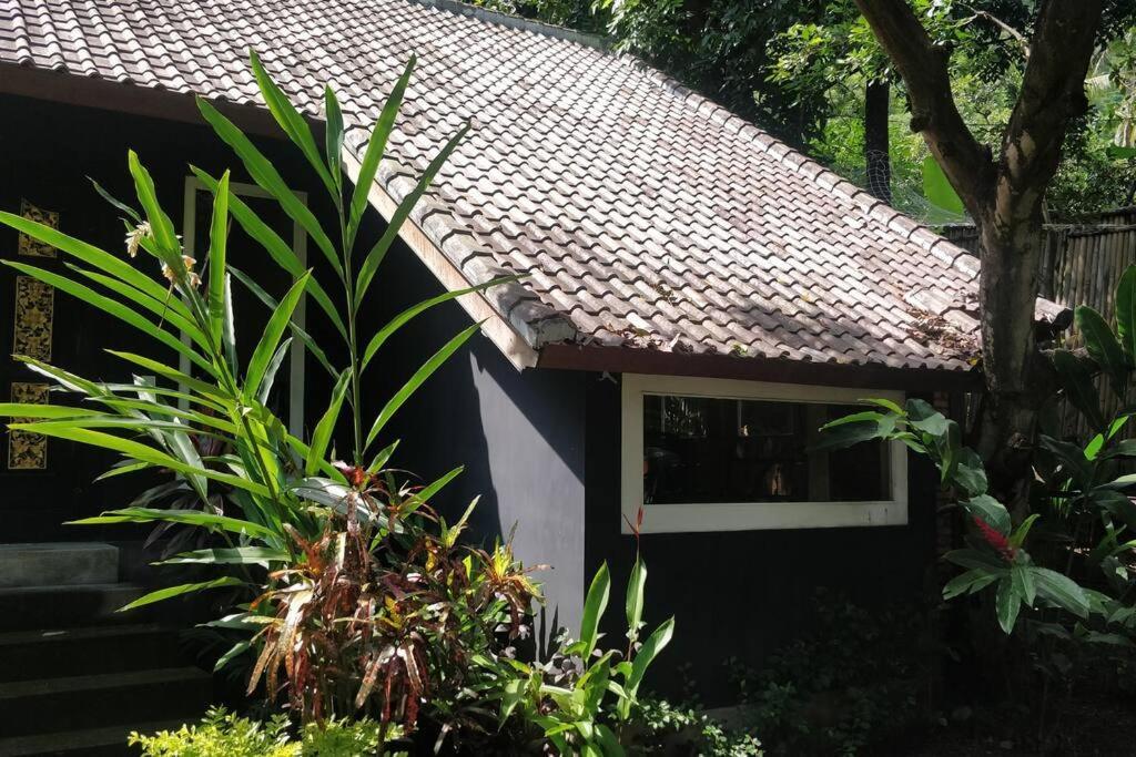 Villa King: Unique Villa With Indoor Swimming Pool 艾湄湾 外观 照片