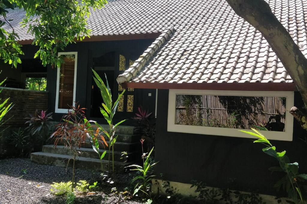Villa King: Unique Villa With Indoor Swimming Pool 艾湄湾 外观 照片