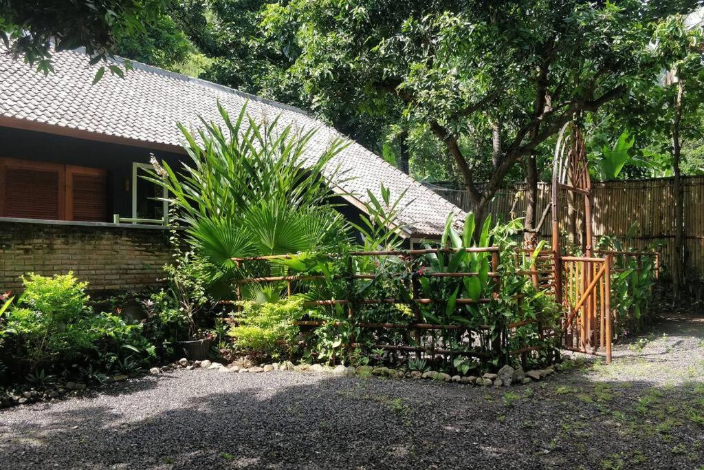 Villa King: Unique Villa With Indoor Swimming Pool 艾湄湾 外观 照片