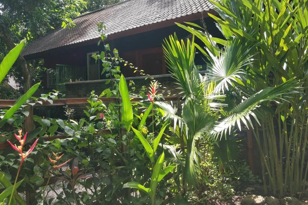 Villa King: Unique Villa With Indoor Swimming Pool 艾湄湾 外观 照片